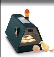 Inkubator Brutkasten