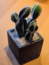 KAKTUS -- DEKO -- KUNSTPFLANZE -- sieht sehr echt aus! -- ca. 9 x 19 cm