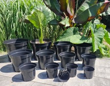 Blumentopf Pflanztopf