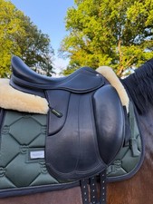 Anke Just By Amerigo Vega