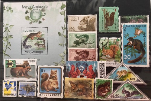 Steckkarte eichhörnchen - steckkarte,