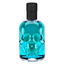Absinth Arctic Blue 0,2L 55%