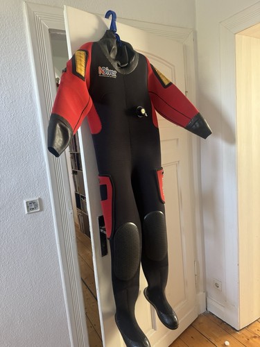 Northhern diver - northhern,