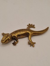 Eidechse salamander reptil - salamander,