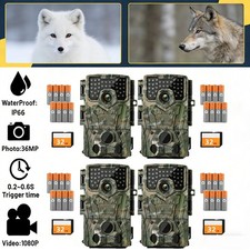 4K Video Wildtierkamera