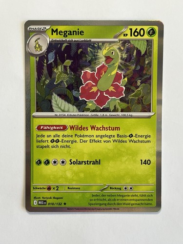 Pokémon meganie 010 - pokémon,