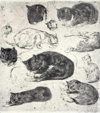 *GRAPHIC ETCHING JAN BOON CATS