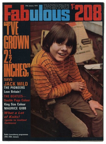 Fabulous 208 magazine - fabulous,