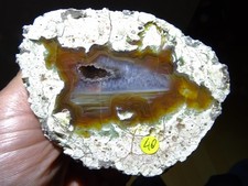 Achat aus Mutzschen, Sachsen, Deutschland