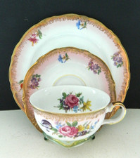 Winterling  Prunk Sammelgedeck