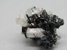 Goshenit Turmalin Gilberit Farm Davib Ost Erongo Namibia