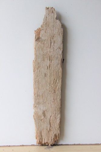 Treibholz schwemmholz - treibholz,