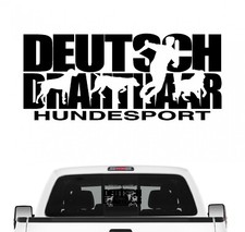 Deutsch Drahthaar Hundesport