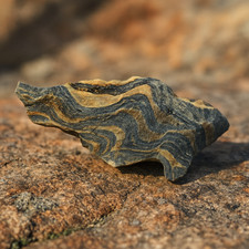 Stromatolith Rohstein