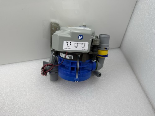 Cefla anthos stern - stern, weber