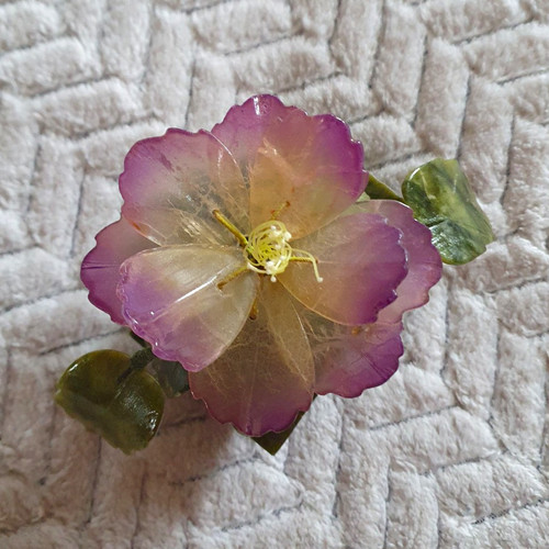 Blumengesteck zimmerpflanze - blumengesteck,