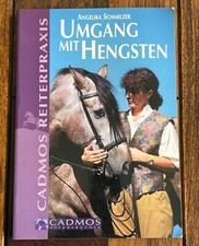 Umgang mit Hengsten –