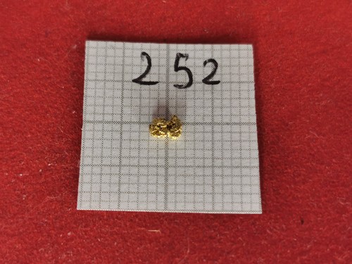 252 goldnugget alaska yukon - goldnugget,
