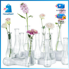 Kleine Glasvasen 12 Stück