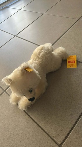 Steif eisbär liegend - eisbär,