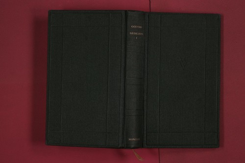 278393 johann wolfgang von - 278393,