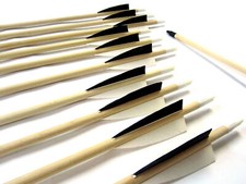 10 Holzpfeile Pfeile