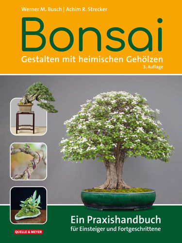Bonsai gestalten mit - bonsai,