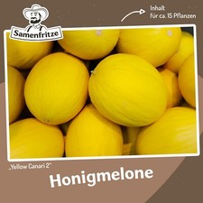 Honigmelone Canari 2 Yellow
