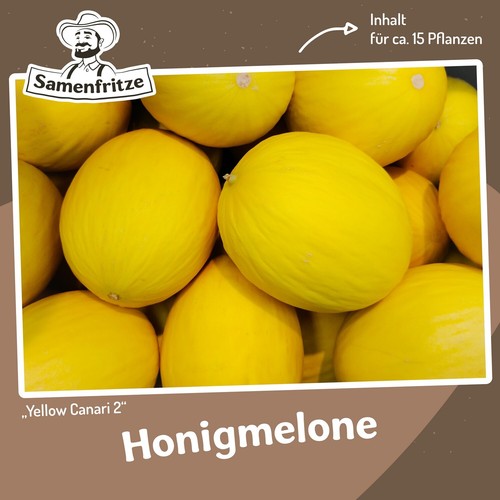 Honigmelone canari yellow - canari, 2