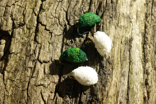 4st brotfliege bread fly - brotfliege, bread-fly