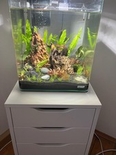 Verkaufe Mein  30 L Aquarium