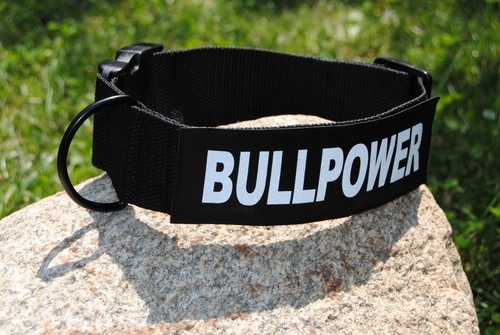 Neu halsband nylon 5cm breit - halsband,