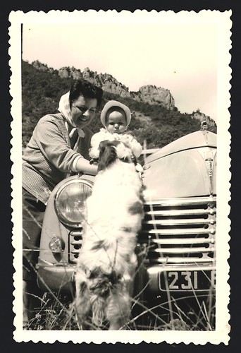 Fotografie auto peugeot - auto, 203