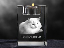 Türkisch Angora