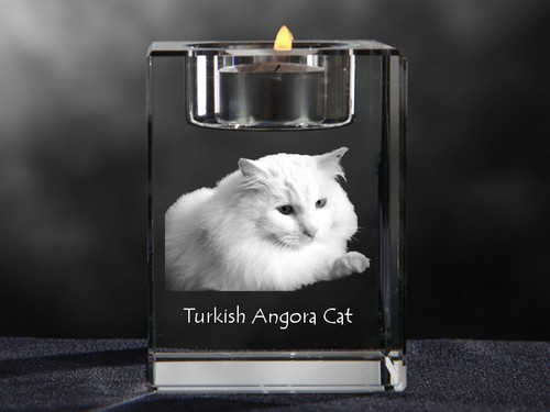 Türkisch angora - türkisch,