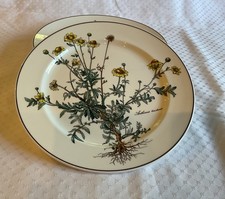 Villeroy & Boch Botanica 2 x große Speiseteller / Teller 26,5 cm