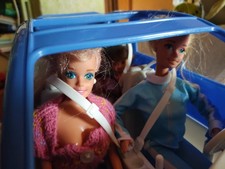 Barbie Family Van Picnic blau Picknick Korb - Barbieauto Cabrio MIT PUPPE