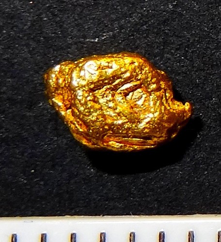 Xxl goldnugget mm - xxl, 5