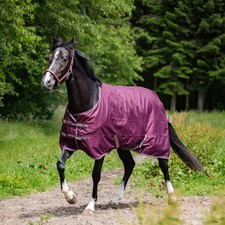 Horse Guard Turnout Pferdedecke Landon, 120D, 0 g - pflaume - 145 cm Weidedecke