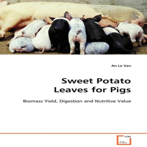 Sweet potato leaves - sweet,