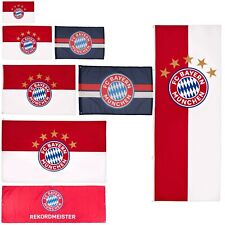 FC Bayern München Hissfahne 5