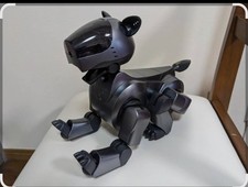 Sony Aibo ERS-210 Roboter Hund Anthrazit