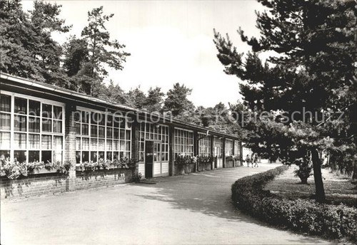Bad schmiedeberg zentrales - schmiedeberg,