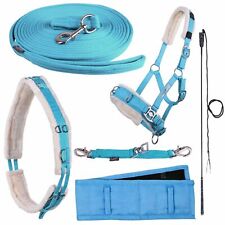 Longieren Zubehör Hilfe f