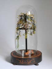 Glas Dom Sturz Glasglocke