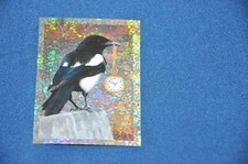 REWE Unsere WUNDERWELT Nr. 160 Elster Glitzer-Sticker