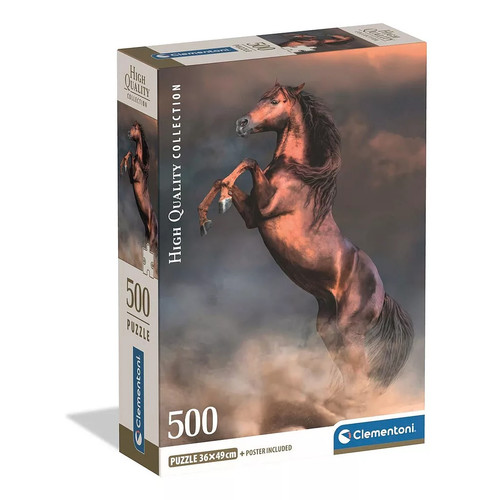 Pferd wild stallion - pferd, 500