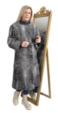 A5638 breitschwanz persianer - a5638,