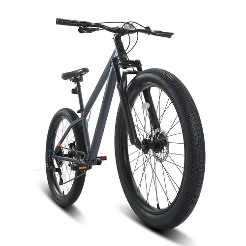Spatial mountainbike - spatial,