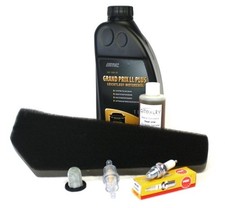 WARTUNGSSET REX RS450 RS 450 500 600 900 RS500 RS900 50